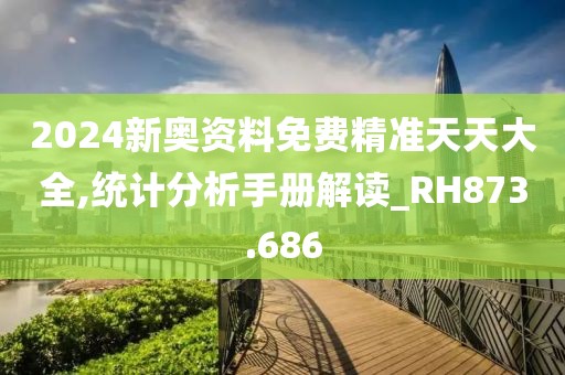 2024新奥资料免费精准天天大全,统计分析手册解读_RH873.686