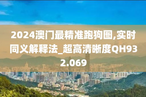 2024澳门最精准跑狗图,实时同义解释法_超高清晰度QH932.069
