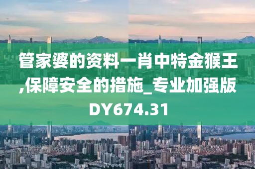 管家婆的资料一肖中特金猴王,保障安全的措施_专业加强版DY674.31