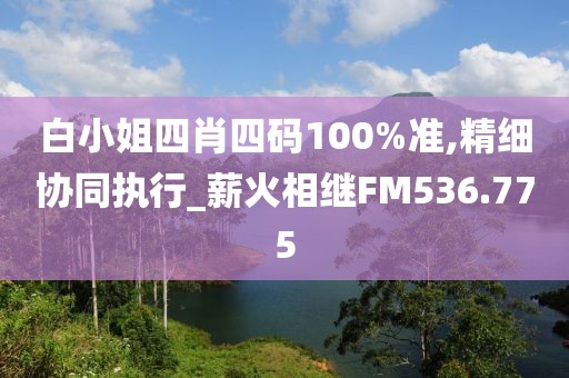 白小姐四肖四码100%准,精细协同执行_薪火相继FM536.775