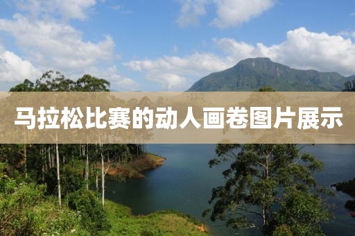 马拉松比赛的动人画卷图片展示