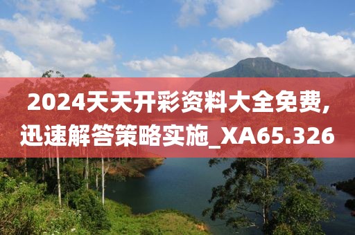 2024天天开彩资料大全免费,迅速解答策略实施_XA65.326