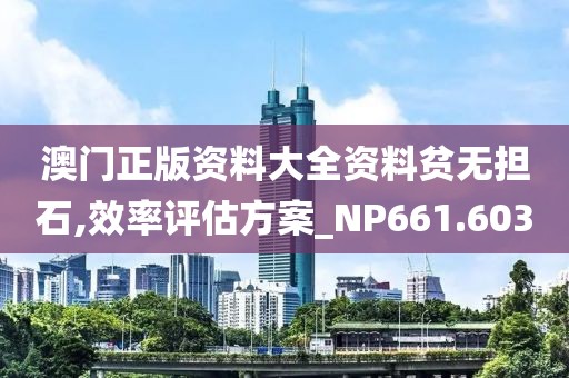 澳门正版资料大全资料贫无担石,效率评估方案_NP661.603
