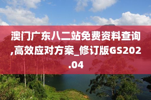 澳门广东八二站免费资料查询,高效应对方案_修订版GS202.04