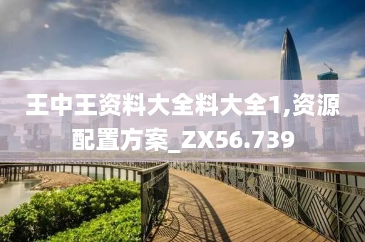 王中王资料大全料大全1,资源配置方案_ZX56.739