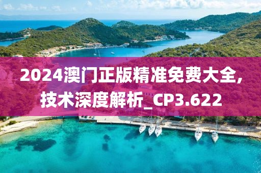 2024澳门正版精准免费大全,技术深度解析_CP3.622