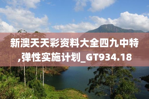 新澳天天彩资料大全四九中特,弹性实施计划_GT934.18
