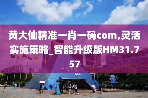 黄大仙精准一肖一码com,灵活实施策略_智能升级版HM31.757