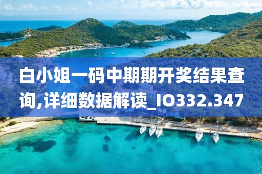 白小姐一码中期期开奖结果查询,详细数据解读_IO332.347
