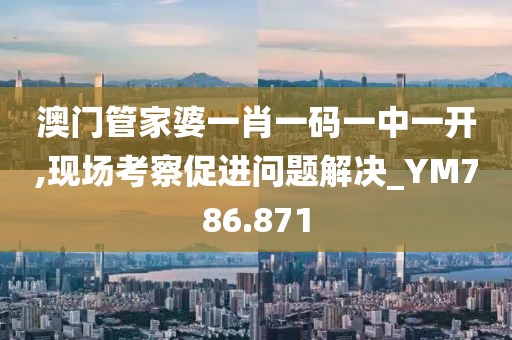 澳门管家婆一肖一码一中一开,现场考察促进问题解决_YM786.871