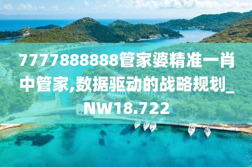 7777888888管家婆精准一肖中管家,数据驱动的战略规划_NW18.722