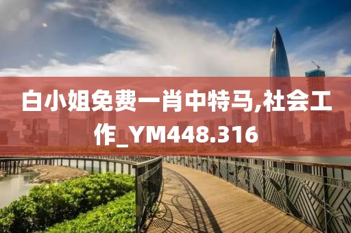 白小姐免费一肖中特马,社会工作_YM448.316