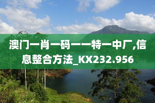 澳门一肖一码一一特一中厂,信息整合方法_KX232.956
