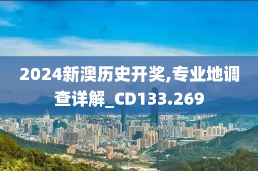 2024新澳历史开奖,专业地调查详解_CD133.269