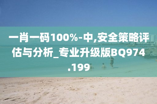 一肖一码100%-中,安全策略评估与分析_专业升级版BQ974.199