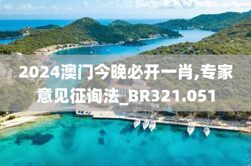 2024澳门今晚必开一肖,专家意见征询法_BR321.051