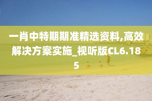 一肖中特期期准精选资料,高效解决方案实施_视听版CL6.185