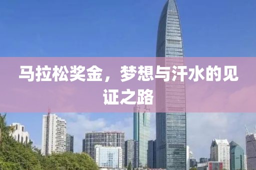马拉松奖金，梦想与汗水的见证之路