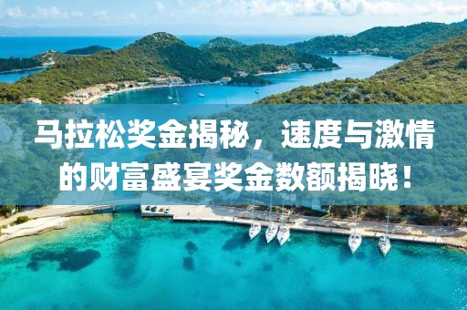马拉松奖金揭秘，速度与激情的财富盛宴奖金数额揭晓！