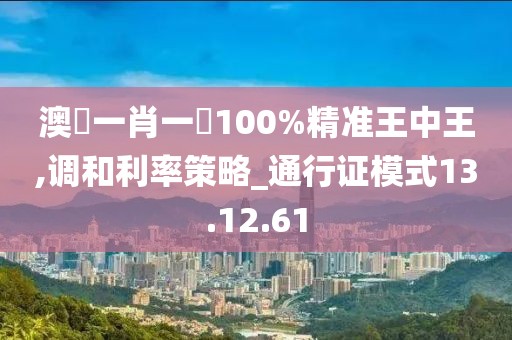澳門一肖一碼100%精准王中王,调和利率策略_通行证模式13.12.61
