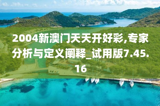 2004新澳门天天开好彩,专家分析与定义阐释_试用版7.45.16