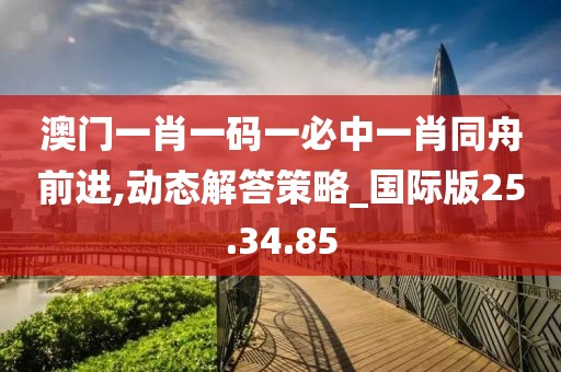 澳门一肖一码一必中一肖同舟前进,动态解答策略_国际版25.34.85
