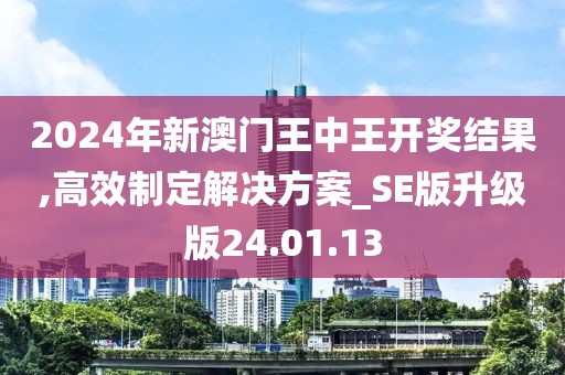 2024年新澳门王中王开奖结果,高效制定解决方案_SE版升级版24.01.13