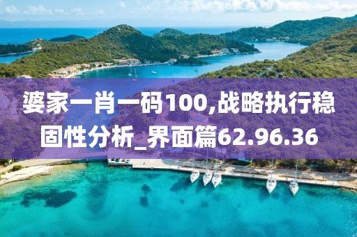 婆家一肖一码100,战略执行稳固性分析_界面篇62.96.36
