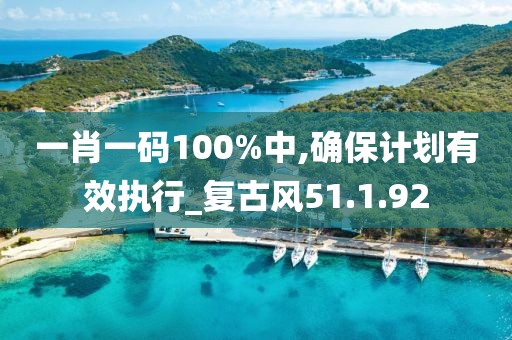 一肖一码100%中,确保计划有效执行_复古风51.1.92
