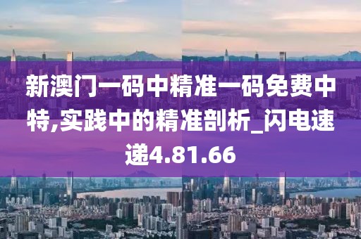 新澳门一码中精准一码免费中特,实践中的精准剖析_闪电速递4.81.66