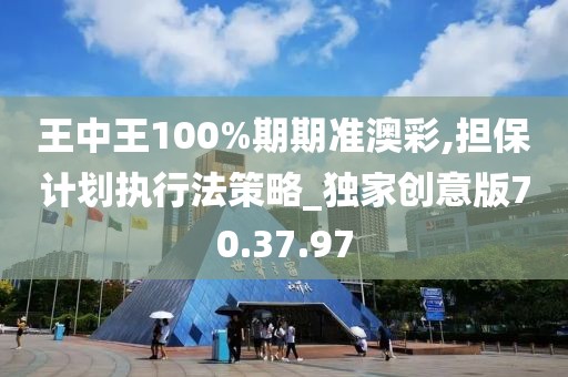 王中王100%期期准澳彩,担保计划执行法策略_独家创意版70.37.97