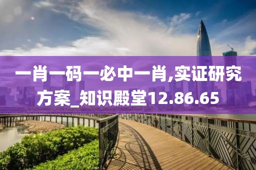 一肖一码一必中一肖,实证研究方案_知识殿堂12.86.65