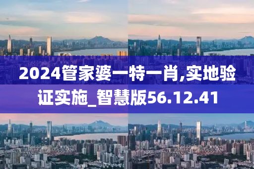 2024管家婆一特一肖,实地验证实施_智慧版56.12.41