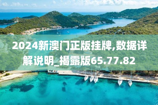 2024新澳门正版挂牌,数据详解说明_揭露版65.77.82
