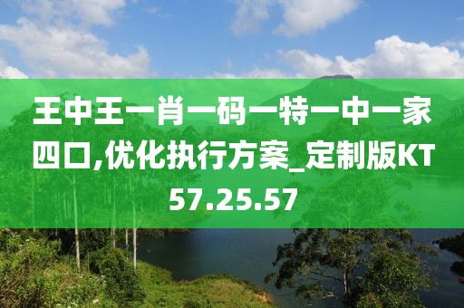 王中王一肖一码一特一中一家四口,优化执行方案_定制版KT57.25.57