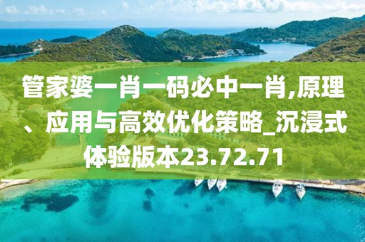 管家婆一肖一码必中一肖,原理、应用与高效优化策略_沉浸式体验版本23.72.71