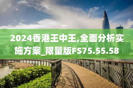 2024香港王中王,全面分析实施方案_限量版FS75.55.58