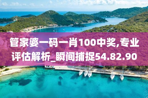 管家婆一码一肖100中奖,专业评估解析_瞬间捕捉54.82.90