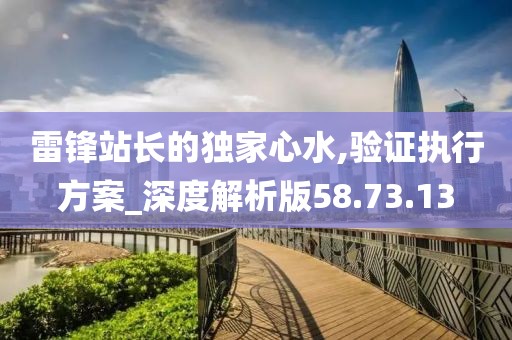 雷锋站长的独家心水,验证执行方案_深度解析版58.73.13