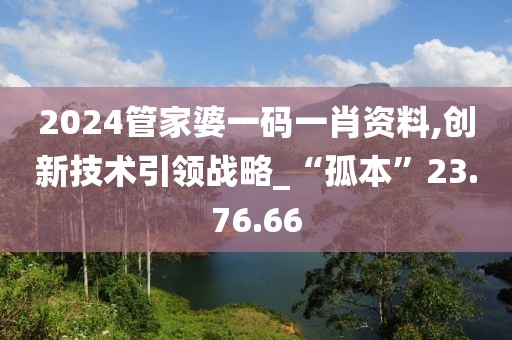 2024管家婆一码一肖资料,创新技术引领战略_“孤本”23.76.66