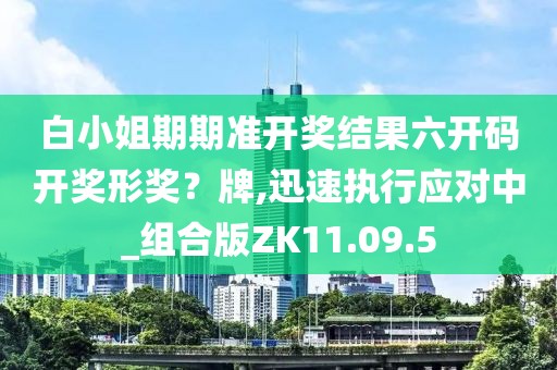 白小姐期期准开奖结果六开码开奖形奖？牌,迅速执行应对中_组合版ZK11.09.5
