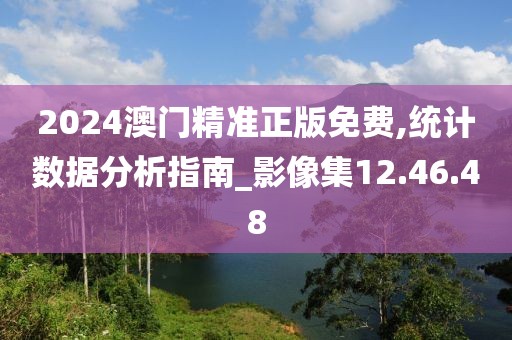 2024澳门精准正版免费,统计数据分析指南_影像集12.46.48