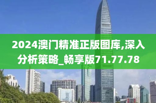 2024澳门精准正版图库,深入分析策略_畅享版71.77.78