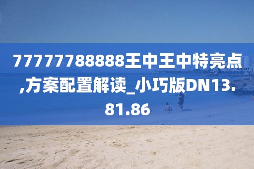 77777788888王中王中特亮点,方案配置解读_小巧版DN13.81.86