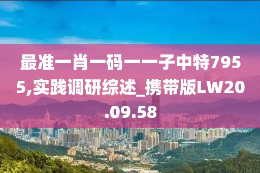 最准一肖一码一一子中特7955,实践调研综述_携带版LW20.09.58