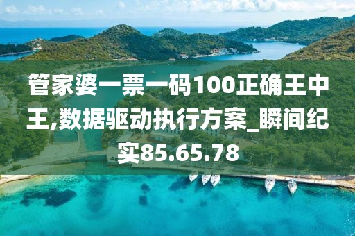 管家婆一票一码100正确王中王,数据驱动执行方案_瞬间纪实85.65.78