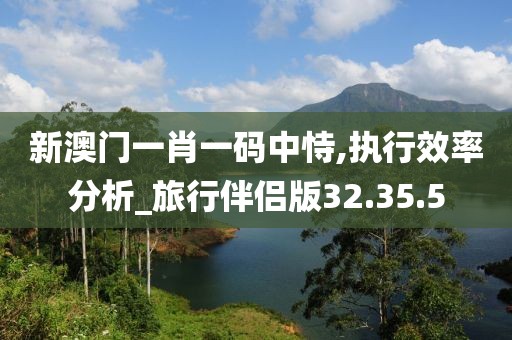 新澳门一肖一码中恃,执行效率分析_旅行伴侣版32.35.5