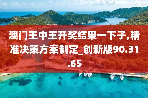 澳门王中王开奖结果一下子,精准决策方案制定_创新版90.31.65