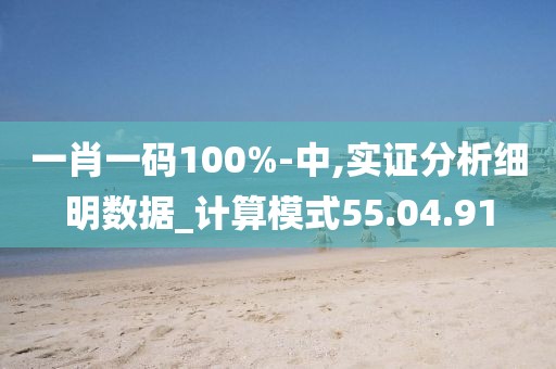 一肖一码100%-中,实证分析细明数据_计算模式55.04.91