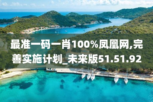 最准一码一肖100%凤凰网,完善实施计划_未来版51.51.92